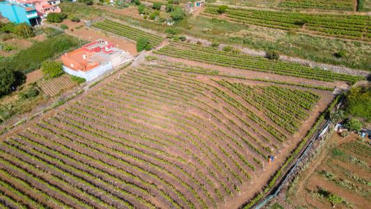 Santa Cruz de Tenerife, Canarias 38350, Spain