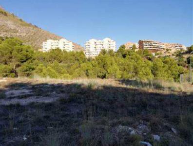 Alacant/Alicante, Comunitat Valenciana 03599, Spain