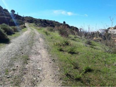 Malaga, Andalucía 29649, Hiszpania