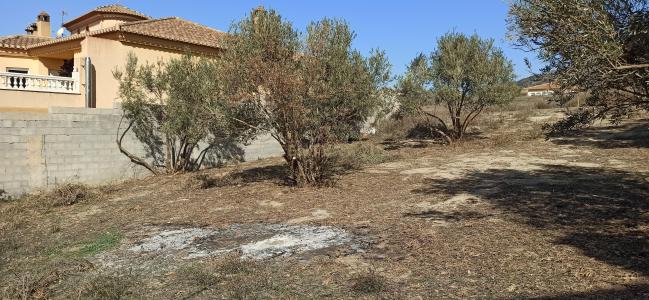 Granada, Andalucía 18640, Spain