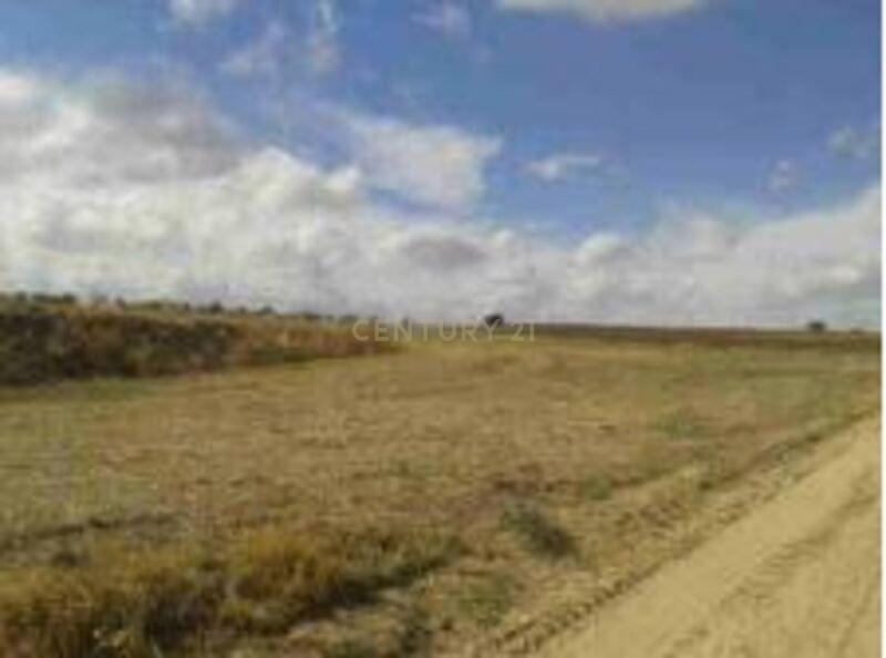 Toledo, Castilla-La Mancha 45593, Испания