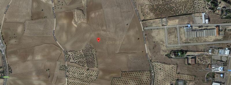 Toledo, Castilla-La Mancha 45593, Испания