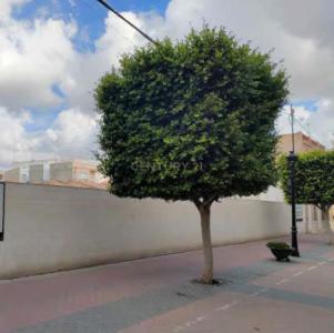 Murcia, Región De Murcia 30700, Spain