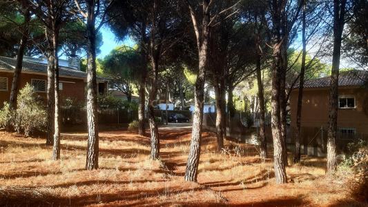 Toledo, Castilla-La Mancha 45900, Spain