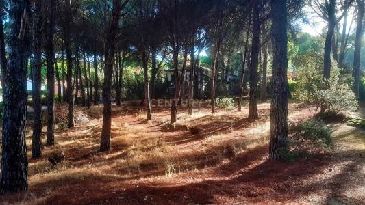 Toledo, Castilla-La Mancha 45900, Spain