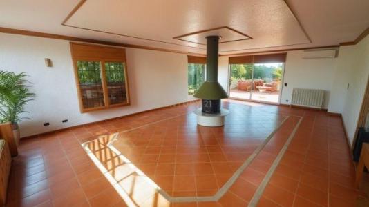 Barcelona, Cataluña/Catalunya 08734, Spain