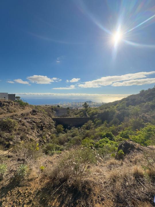 サンタ・クルス・デ・テネリフェ, Canarias 38550, スペイン