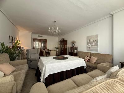 Кордова, Andalucía 14005, Испания