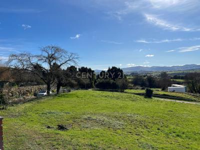 Cantabria, Cantabria 39360, España