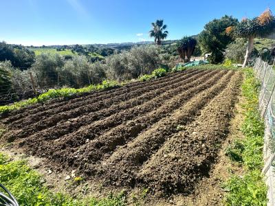 Malaga, Andalucía 29680, Hiszpania