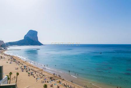 Alacant/Alicante, Comunitat Valenciana 03710, Espagne