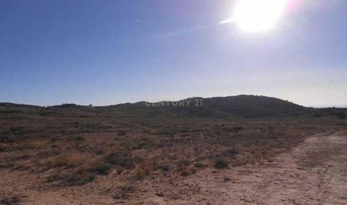 Alacant/Alicante, Comunitat Valenciana 03690, Spain