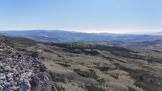 말라가, Andalucía 29230, 스페인