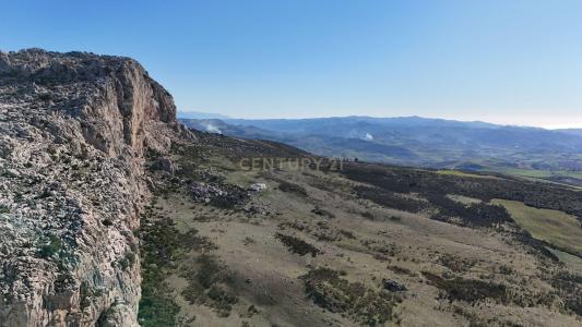 말라가, Andalucía 29230, 스페인