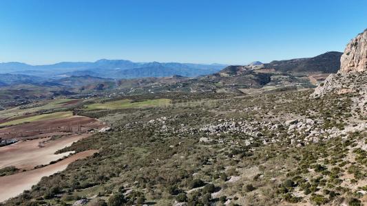 말라가, Andalucía 29230, 스페인