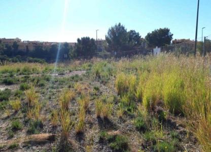 Alacant/Alicante, Comunitat Valenciana 03599, Spain