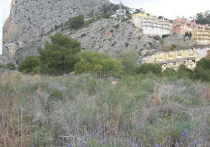 Alacant/Alicante, Comunitat Valenciana 03599, Spain