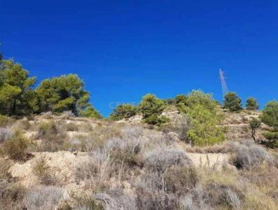 Alacant/Alicante, Comunitat Valenciana 03509, Spain