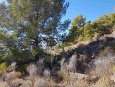 Alacant/Alicante, Comunitat Valenciana 03509, Spain