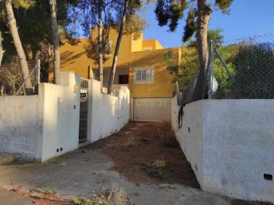 Alacant/Alicante, Comunitat Valenciana 03725, Spain