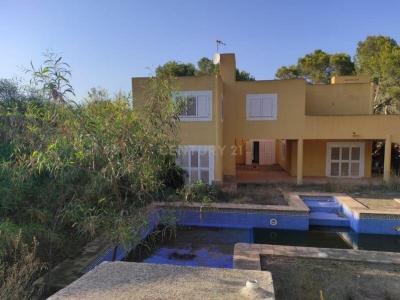 Alacant/Alicante, Comunitat Valenciana 03725, Spain