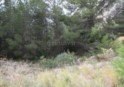 Alacant/Alicante, Comunitat Valenciana 03599, Spain