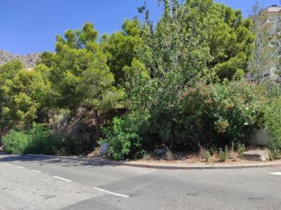 Alacant/Alicante, Comunitat Valenciana 03599, Spain