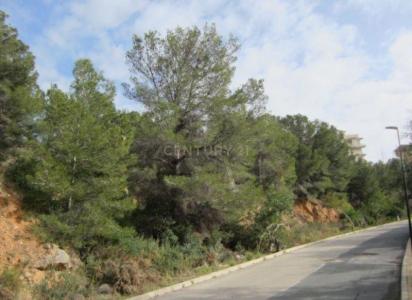 Alacant/Alicante, Comunitat Valenciana 03599, Spain