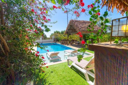 Ibiza / Eivissa, Illes Balears 07817, Tây Ban Nha