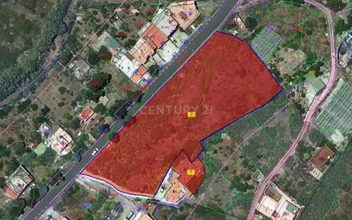 Las Palmas, Canarias 35423, Espanha