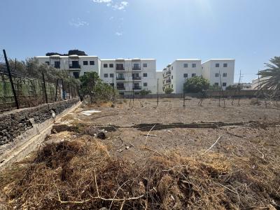 Las Palmas, Canarias 35480, España