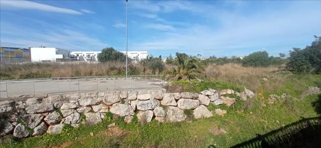 Alacant/Alicante, Comunitat Valenciana 03770, Spain