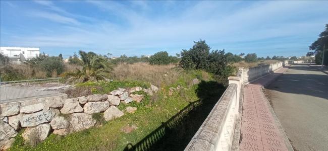 Alacant/Alicante, Comunitat Valenciana 03770, España