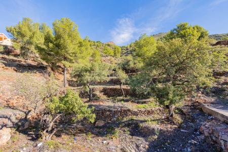 Castelló/Castellón, Comunitat Valenciana 12600, 西班牙