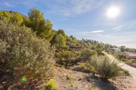 Castelló/Castellón, Comunitat Valenciana 12600, ספרד