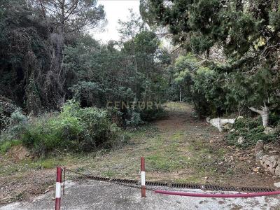 Girona, Cataluña/Catalunya 17246, Spain