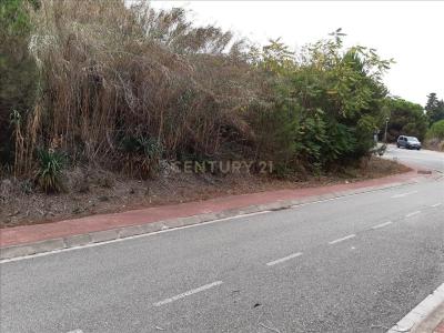 Barcelona, Cataluña/Catalunya 08350, Spain