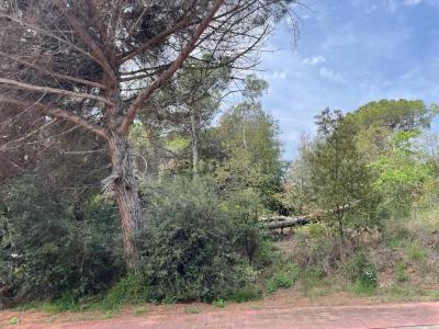 Barcelona, Cataluña/Catalunya 08350, Spain