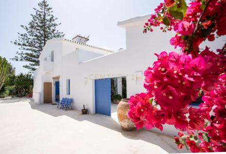 Alacant/Alicante, Comunitat Valenciana 03700, Spain