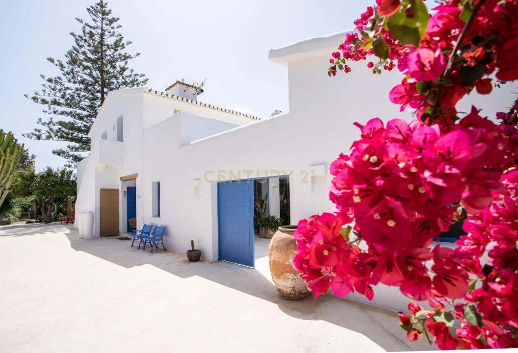 Alacant/Alicante, Comunitat Valenciana 03700, Spain