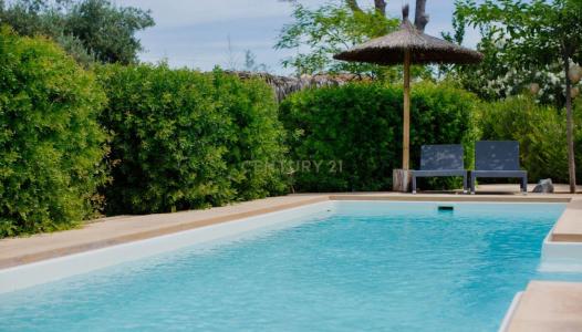 Alacant/Alicante, Comunitat Valenciana 03700, Spain