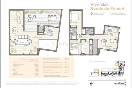 Barcelona, Cataluña/Catalunya 08201, Spain