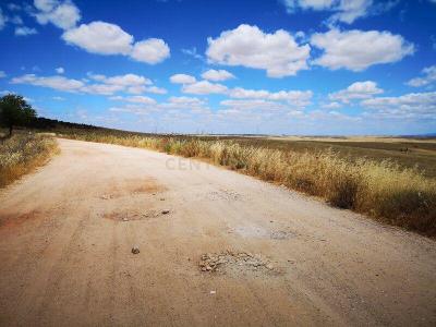 Cáceres, Extremadura 10004, Spain