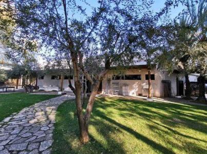 València/Valencia, Comunitat Valenciana 46722, Spain