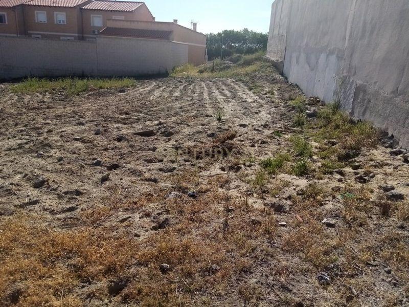 Toledo, Castilla-La Mancha 45221, Espanha