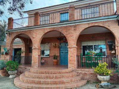 Кордова, Andalucía 14700, Испания