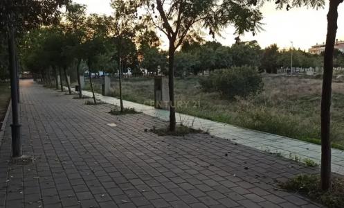 Murcia, Región De Murcia 30155, Spain