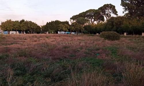 Murcia, Región De Murcia 30155, Spain