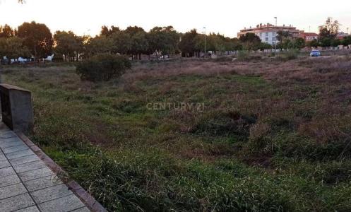 Murcia, Región De Murcia 30155, Spain