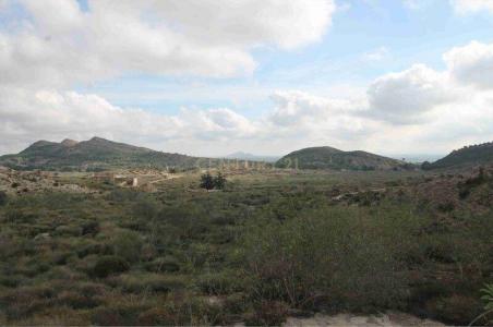 Murcia, Región De Murcia 30155, Spain